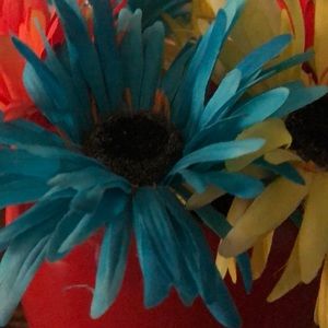 Meet your Posher, Jayma